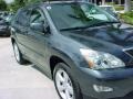 Flint Gray Mica - RX 350 Photo No. 2