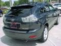 Flint Gray Mica - RX 350 Photo No. 6
