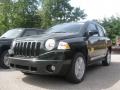 2010 Natural Green Pearl Jeep Compass Sport  photo #1