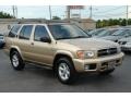 2004 Luminous Gold Metallic Nissan Pathfinder SE  photo #3