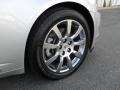 Radiant Silver - CTS Sedan Photo No. 20