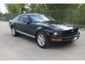 Black - Mustang V6 Deluxe Coupe Photo No. 1