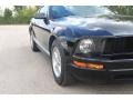 Black - Mustang V6 Deluxe Coupe Photo No. 10