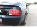 Black - Mustang V6 Deluxe Coupe Photo No. 13