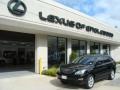 Black Onyx - RX 350 AWD Photo No. 1
