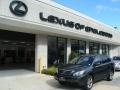 Black Onyx - RX 400h AWD Hybrid Photo No. 1
