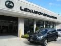 2007 Black Onyx Lexus RX 400h AWD Hybrid  photo #1