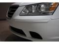 Powder White Pearl - Sonata GLS Photo No. 47