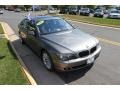 2007 Sterling Grey Metallic BMW 7 Series 750Li Sedan  photo #8