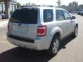 Silver Metallic - Escape Limited 4WD Photo No. 4