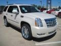 2010 White Diamond Cadillac Escalade Platinum  photo #2