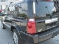 Black Clearcoat - Commander Overland 4x4 Photo No. 54