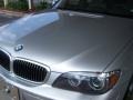 2006 Titanium Grey Metallic BMW 7 Series 750Li Sedan  photo #11