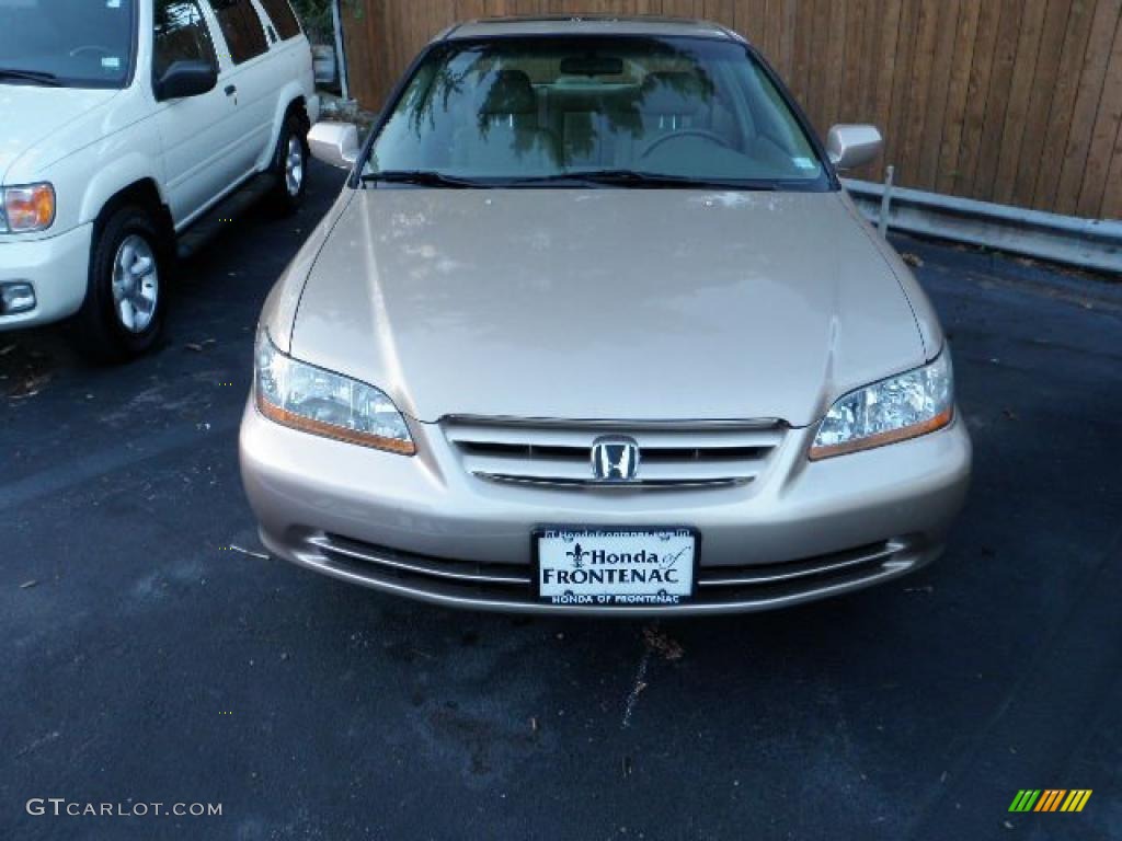 2002 Accord EX V6 Sedan - Naples Gold Metallic / Ivory photo #4