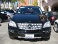 Black - ML 350 4Matic Photo No. 8