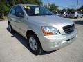 Bright Silver - Sorento LX Photo No. 14