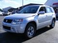 Quicksilver Metallic 2008 Suzuki Grand Vitara 