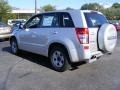 Quicksilver Metallic - Grand Vitara  Photo No. 3