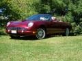 Merlot Metallic - Thunderbird Deluxe Roadster Photo No. 1