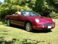 Merlot Metallic - Thunderbird Deluxe Roadster Photo No. 3