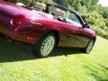 Merlot Metallic - Thunderbird Deluxe Roadster Photo No. 16