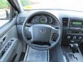 2009 Bright Silver Kia Sorento LX  photo #23