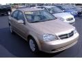 Champagne Beige Metallic - Forenza  Photo No. 2