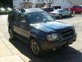 Just Blue Metallic - Xterra SE V6 SC 4x4 Photo No. 6