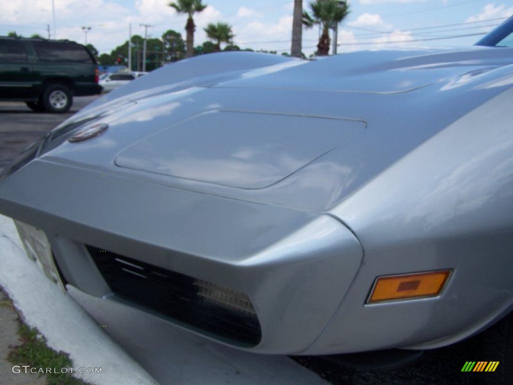 1973 Corvette Convertible - Silver / Black photo #8