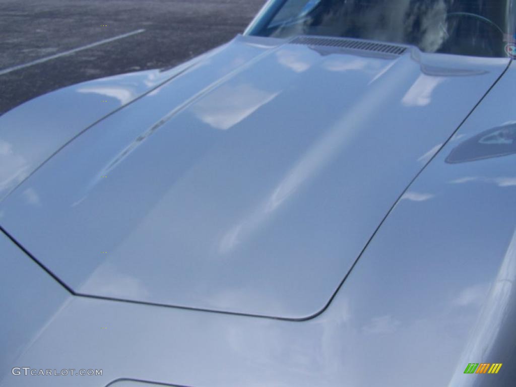 1973 Corvette Convertible - Silver / Black photo #9