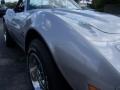 1973 Silver Chevrolet Corvette Convertible  photo #13