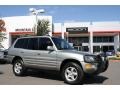 Quicksilver - RAV4 4WD Photo No. 1
