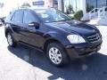 Black - ML 350 4Matic Photo No. 1