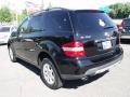 Black - ML 350 4Matic Photo No. 5