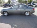 Willow Gray - Sonata GLS Photo No. 2