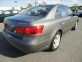 Willow Gray - Sonata GLS Photo No. 5