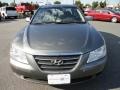 Willow Gray - Sonata GLS Photo No. 8