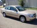 Light Driftwood Metallic - Malibu Sedan Photo No. 4
