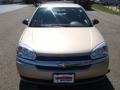 Light Driftwood Metallic - Malibu Sedan Photo No. 8
