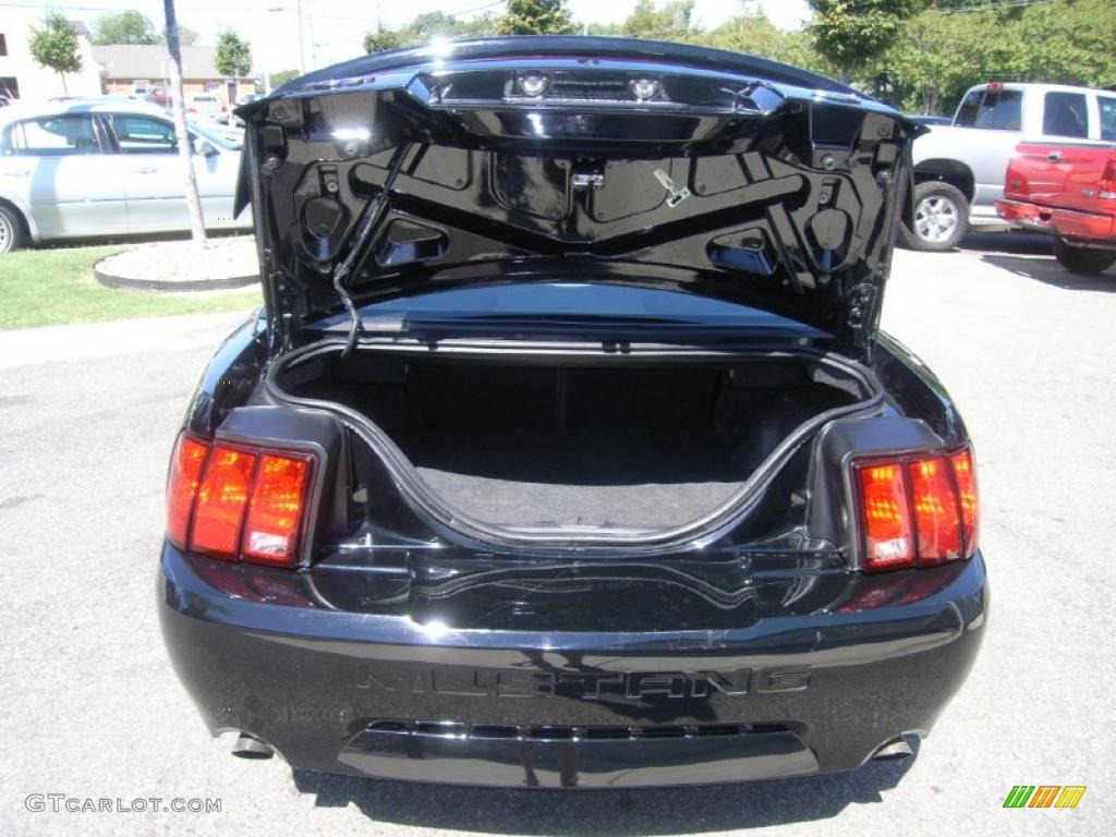 2002 Mustang GT Coupe - Black / Medium Parchment photo #10