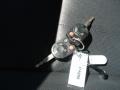 Black Ebony - Milan I4 Premier Photo No. 35