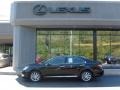 Obsidian Black - ES 350 Photo No. 2