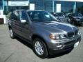 Sterling Grey Metallic - X5 3.0i Photo No. 3
