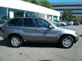 Sterling Grey Metallic - X5 3.0i Photo No. 4