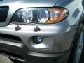 Sterling Grey Metallic - X5 3.0i Photo No. 30