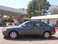 Willow Gray - Sonata GLS V6 Photo No. 8