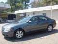 2009 Willow Gray Hyundai Sonata GLS V6  photo #9