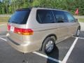 Mesa Beige Metallic - Odyssey EX-L Photo No. 7