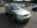 2001 Iced Cappuccino Nissan Sentra GXE  photo #6