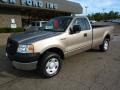 2005 Arizona Beige Metallic Ford F150 XL Regular Cab 4x4  photo #8